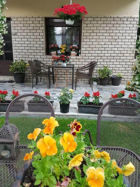 Guest House Vaso Órma 외부 사진